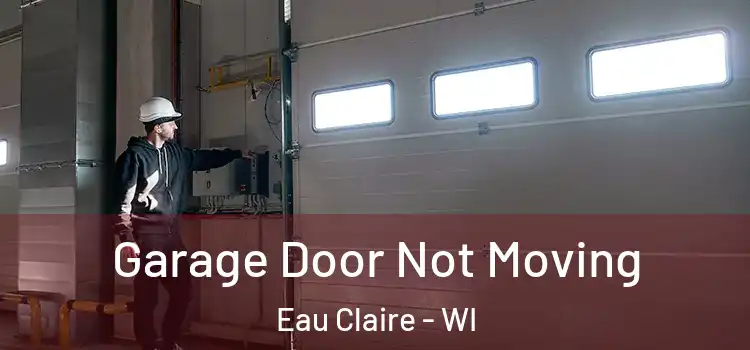  Garage Door Not Moving Eau Claire - WI